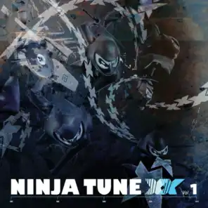 Ninja Tune XX