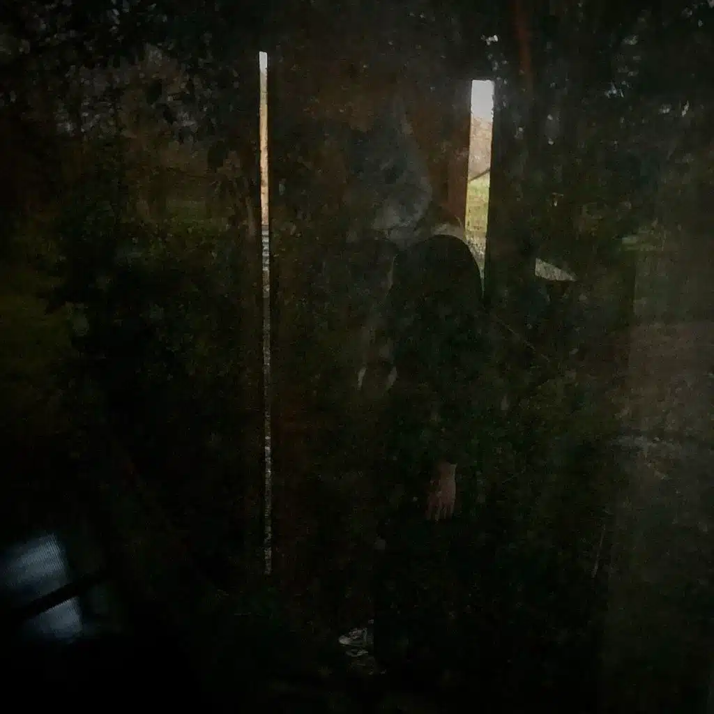 Hold On, We're Going Home