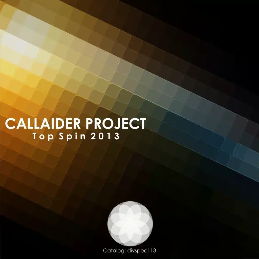 Callaider Project