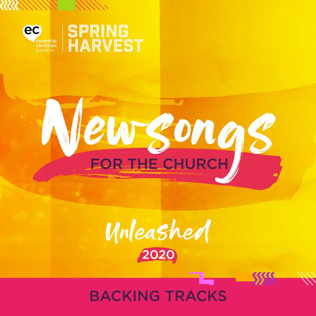 Newsongs for the Church 2020 [Backing Tracks]