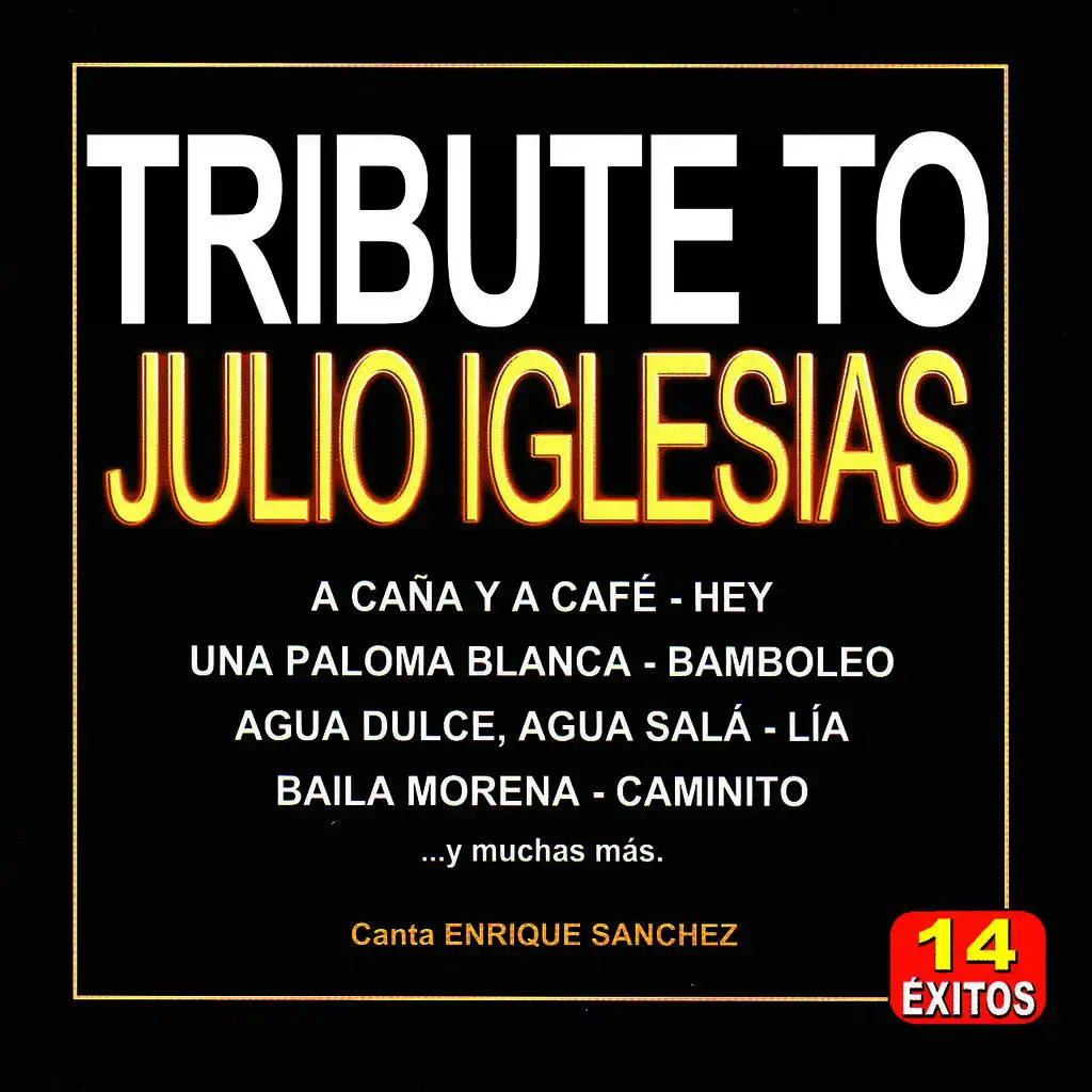 Tribute To Julio Iglesias