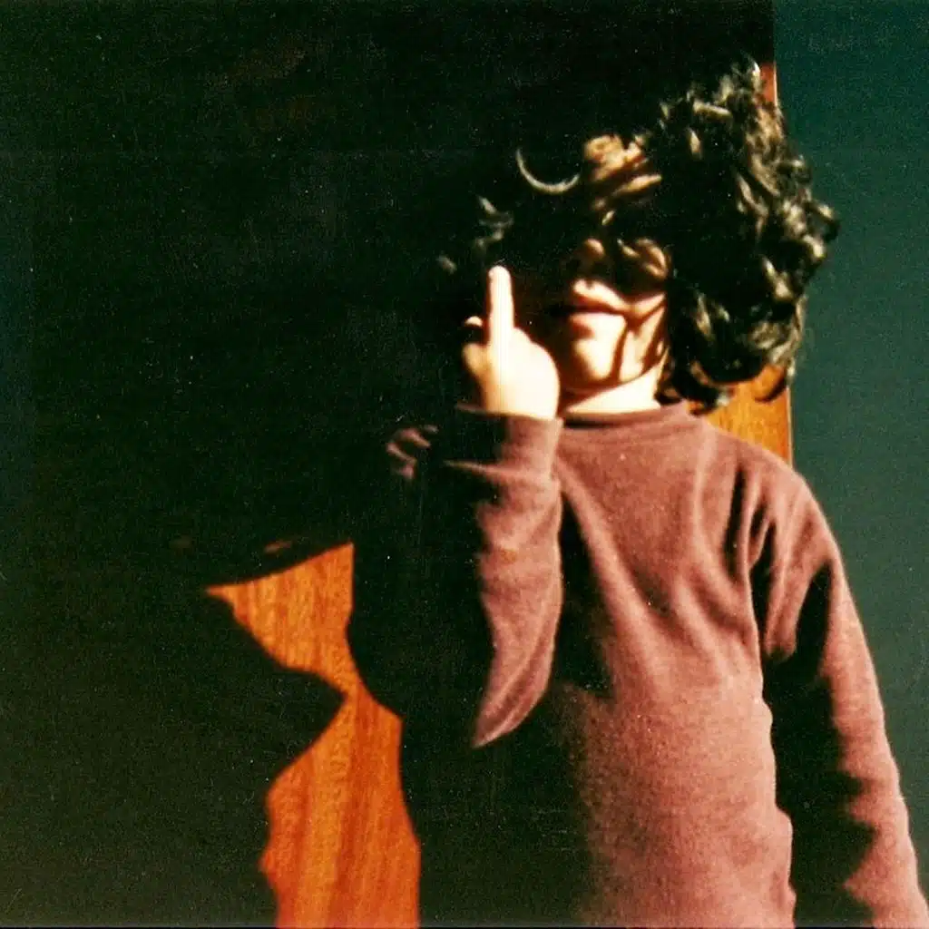 fin