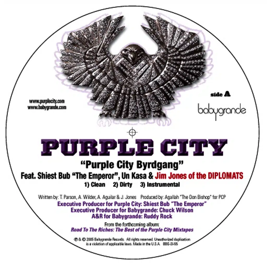 Purple City Byrdgang (feat. Jim Jones (of the Diplomats), Un Kasa & Sheist Bubz) (12")
