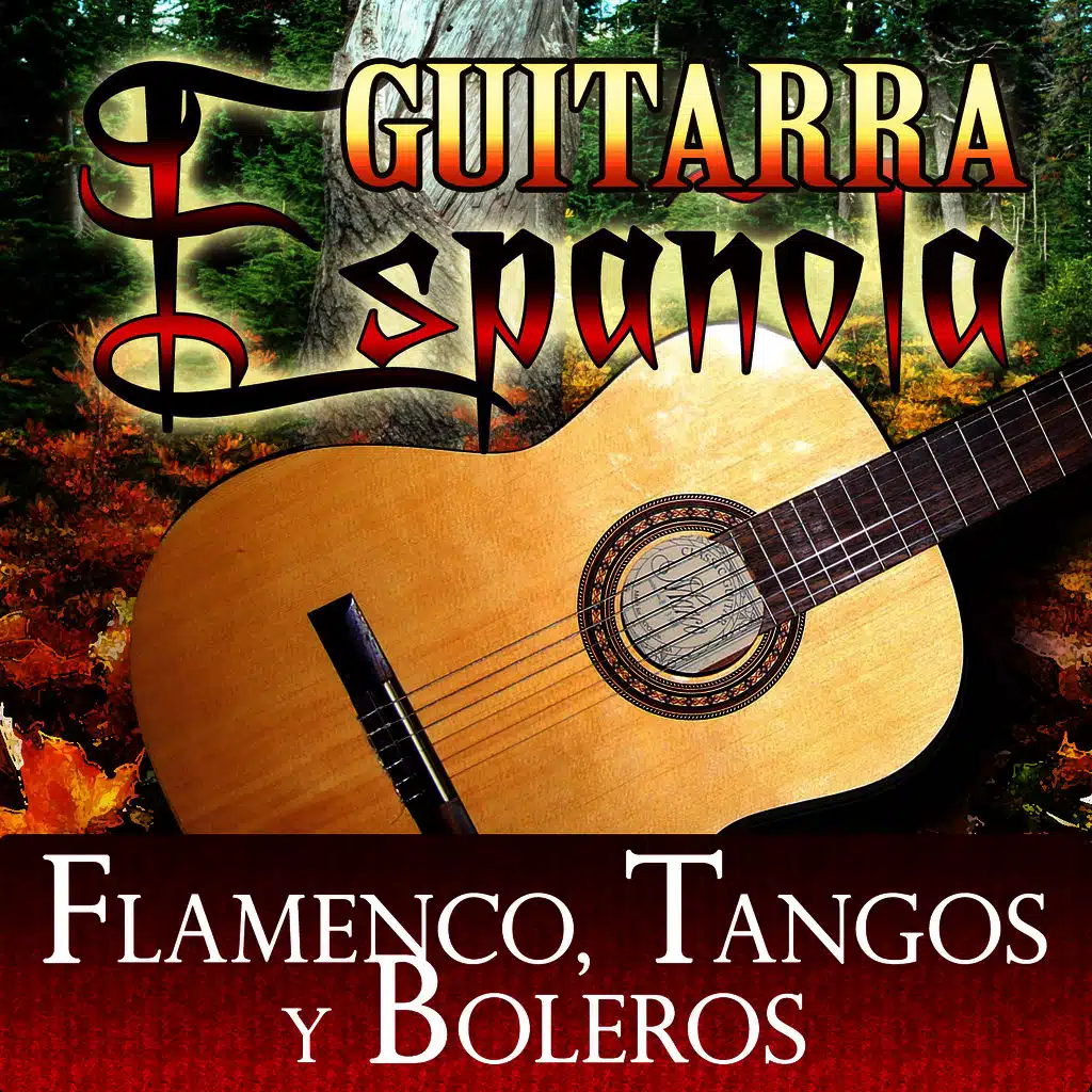 Guitarra Española Flamenco, Tangos y Boleros