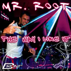 The Way I Like It (Mixed by Mr. Root)