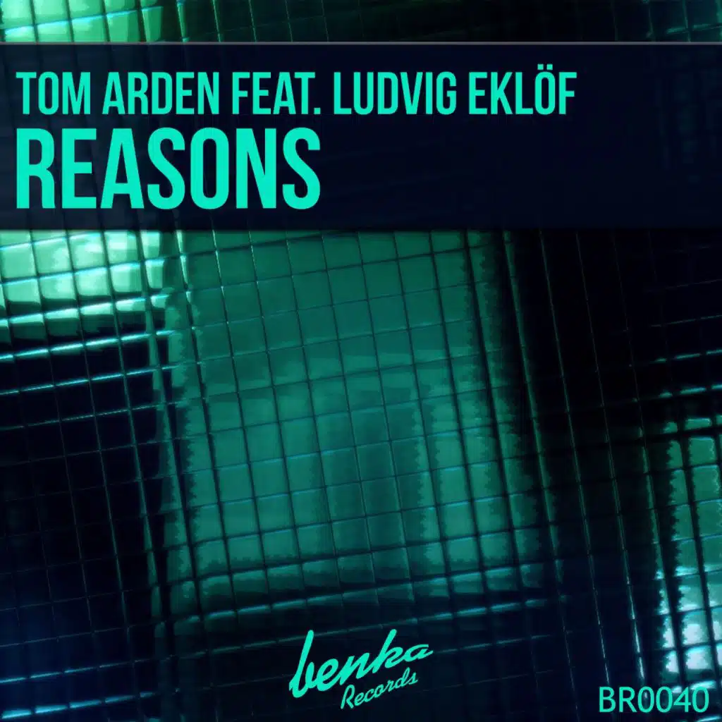 Reasons (feat. Ludvig Eklof)