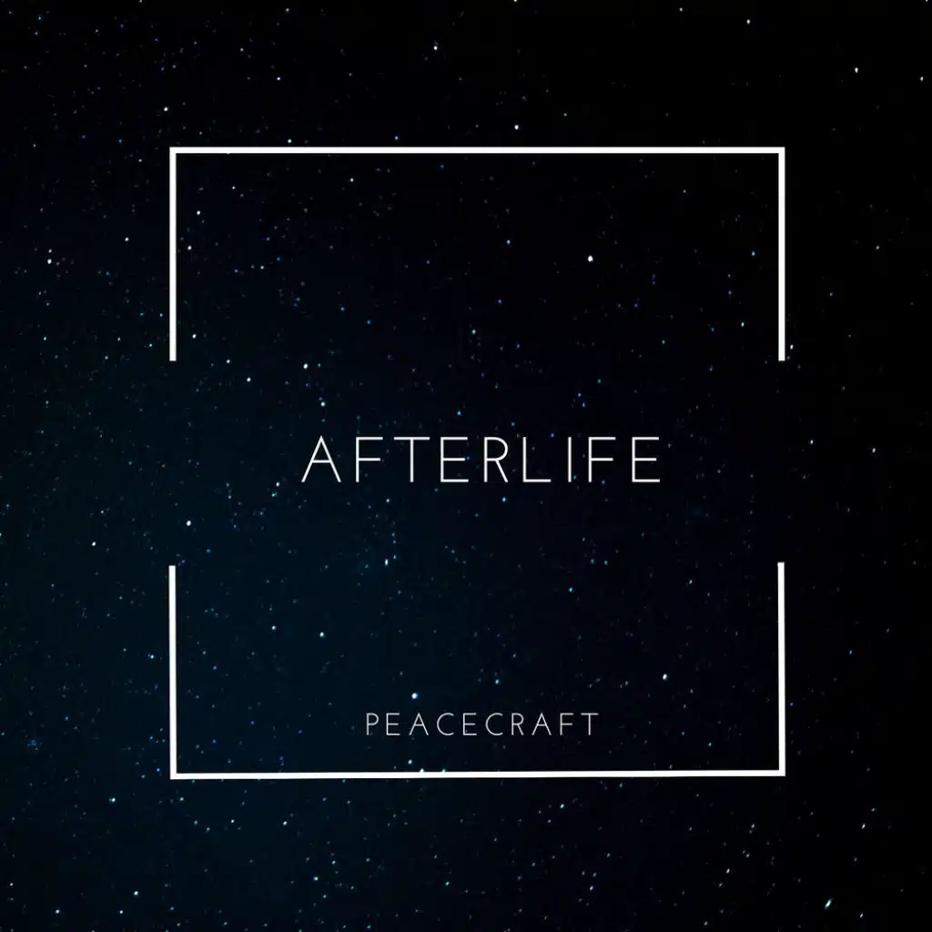 Afterlife