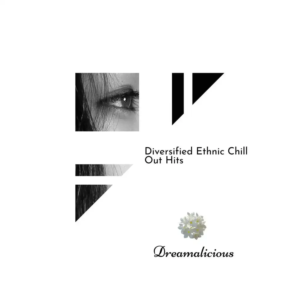 Diversified Ethnic Chill Out Hits