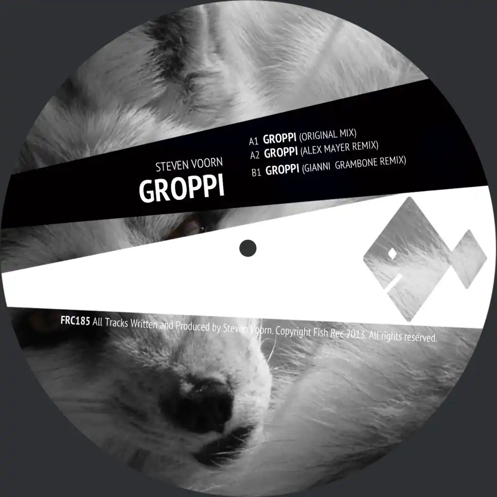 Groppi (Alex Mayer Remix)