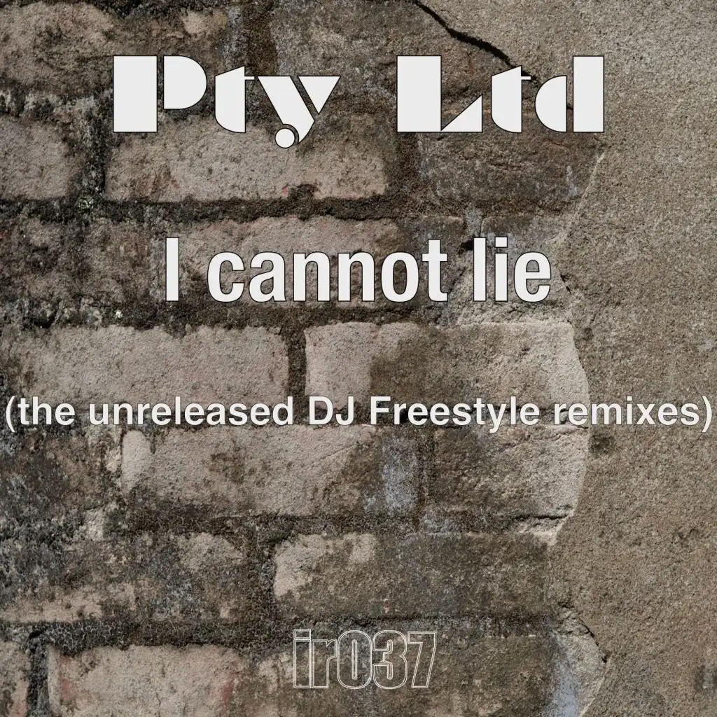 I Cannot Lie (DJ Freestyle's Remix)