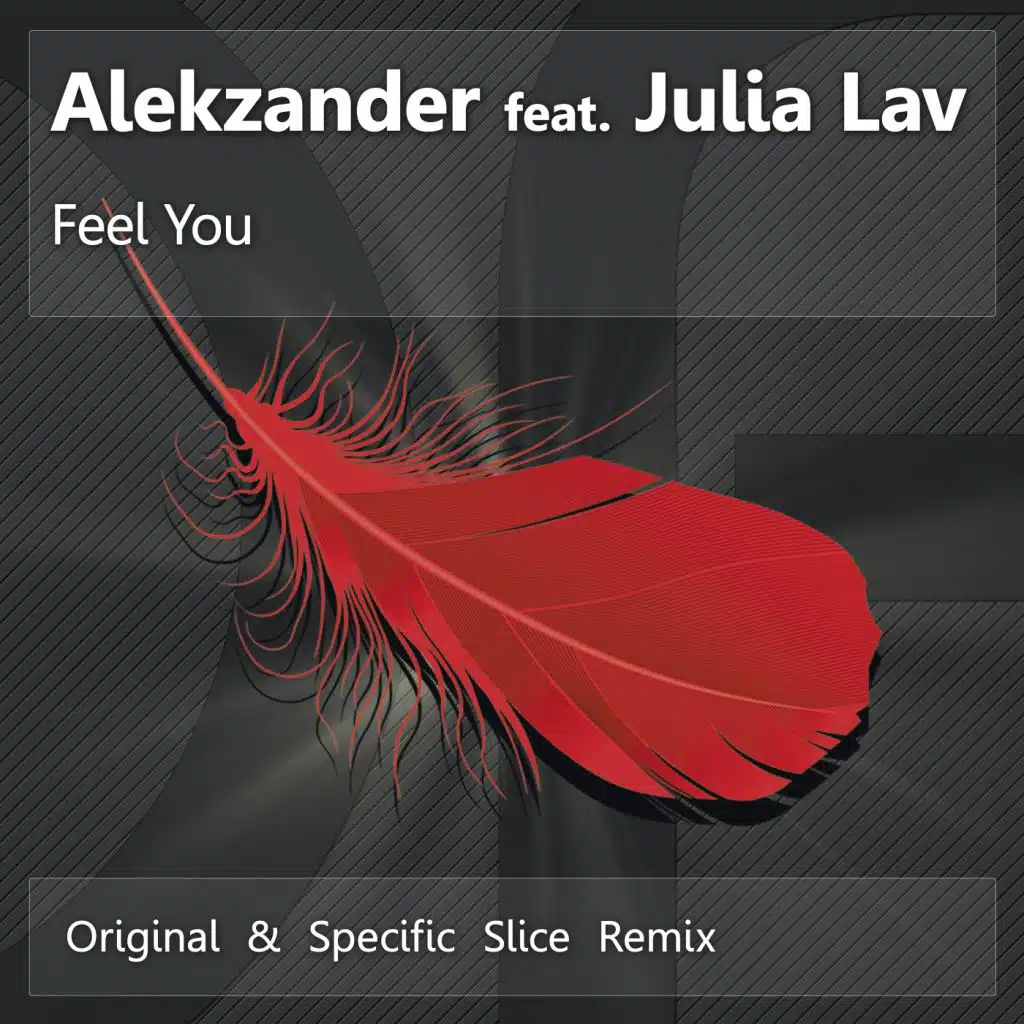 Feel You (feat. Julia Lav)