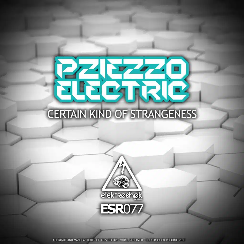 Pziezzo Electric