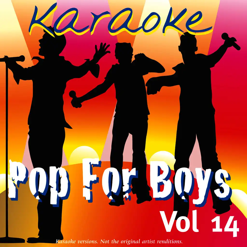 Karaoke - Pop For Boys Vol.14