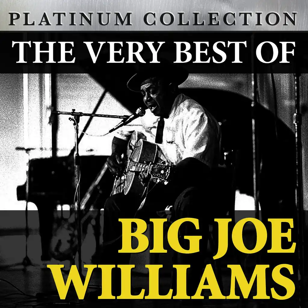 The Very Best of Big Joe Williams