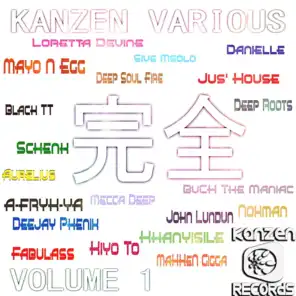 Kanzen Various, Vol. 1
