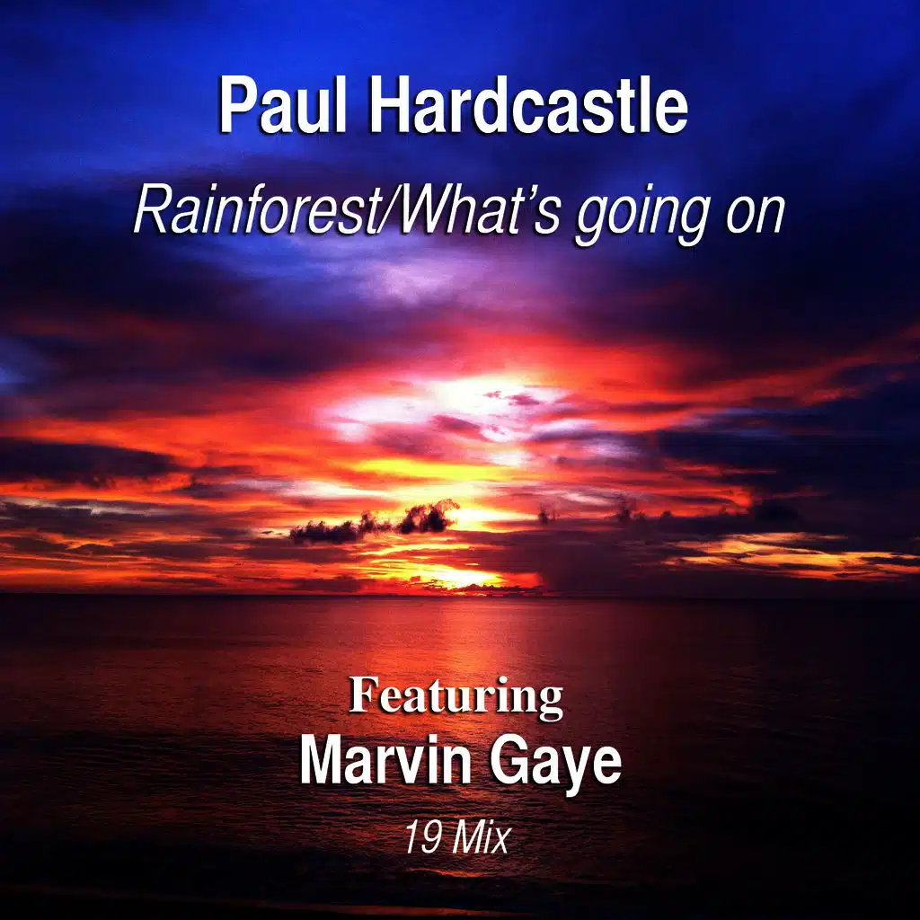 Rainforest/What's Going On (19 mix) [Feat. Marvin Gaye]