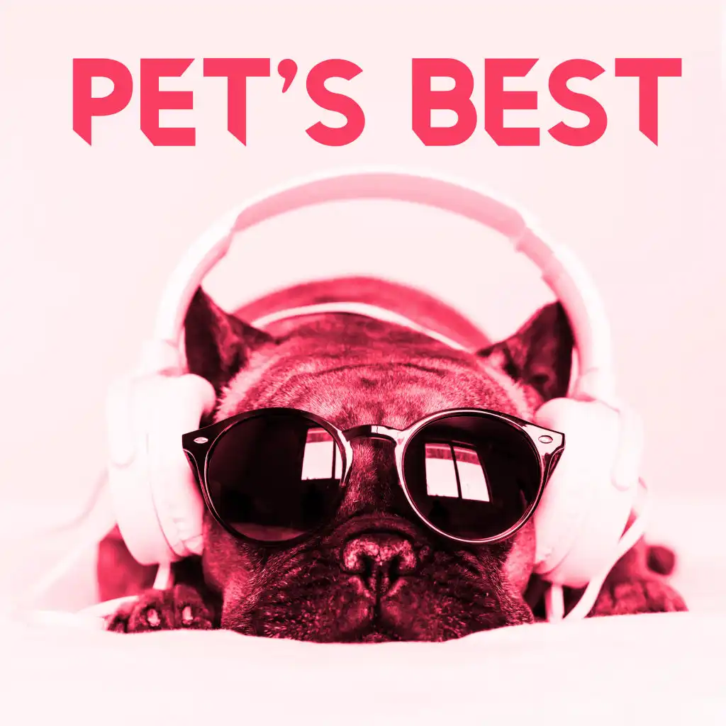 Pet’s Best - Relaxing Music and Therapeutic Sounds of Nature created for Your Pet