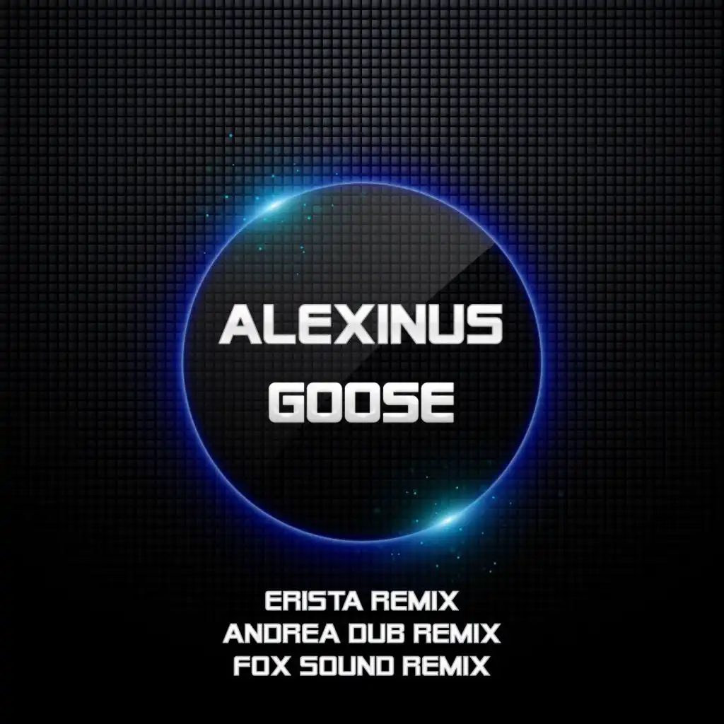 Goose - The Remixes