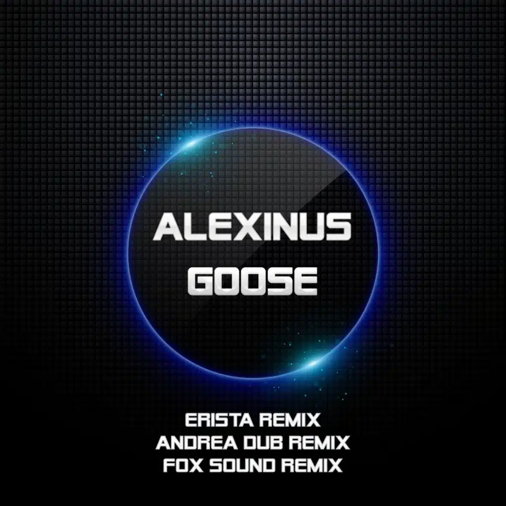 Goose (Andrea Dub Out Of Control Remix)