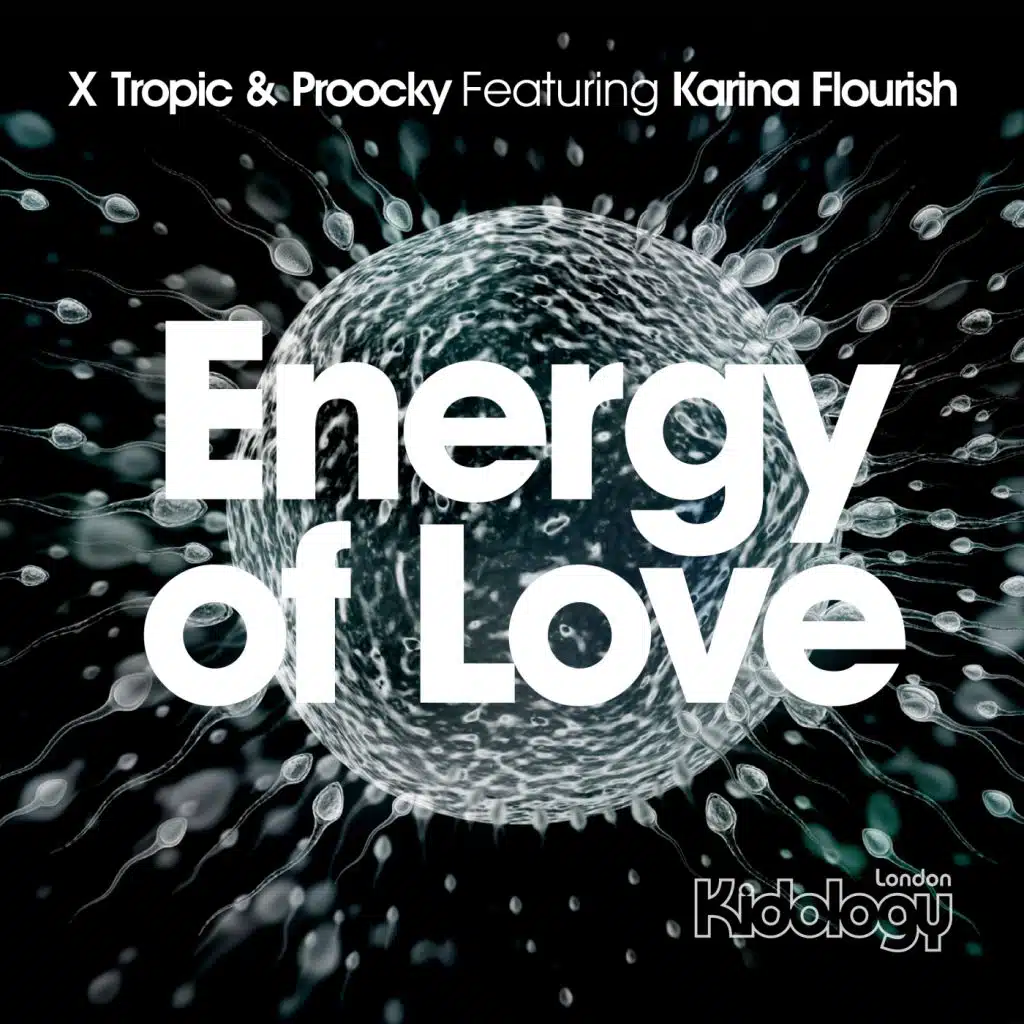 Energy of Love (feat. Karina Flourish)