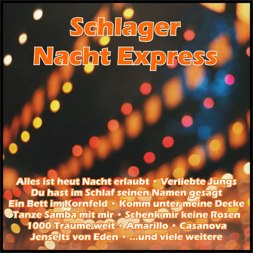 Schlager Nacht Express