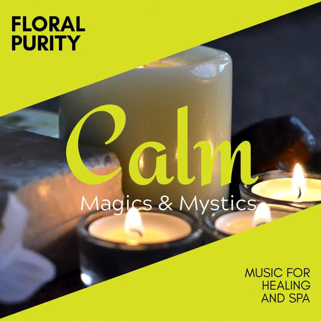 A Dark N Scary Night