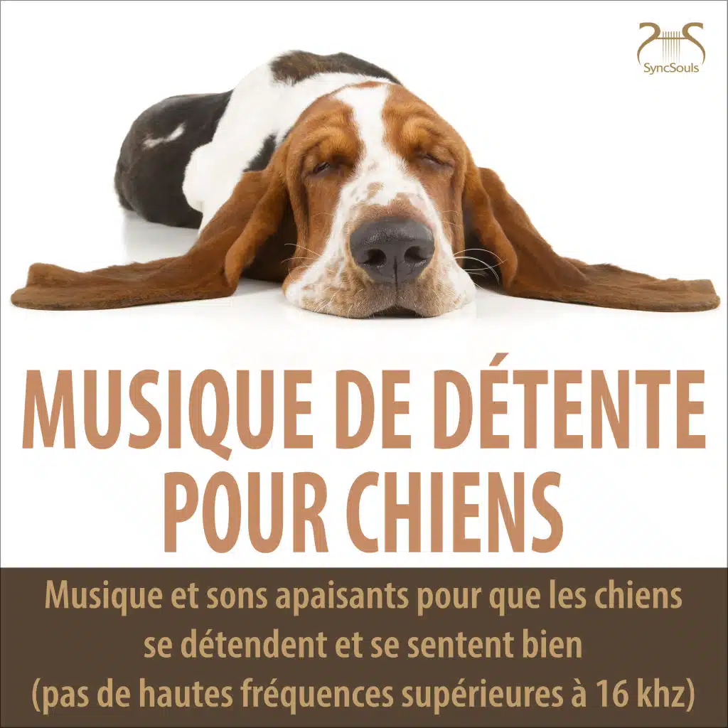 Mon chien et moi nous détendons : Musique de piano silencieuse avec un son de respiration uniforme Fréquence limitée