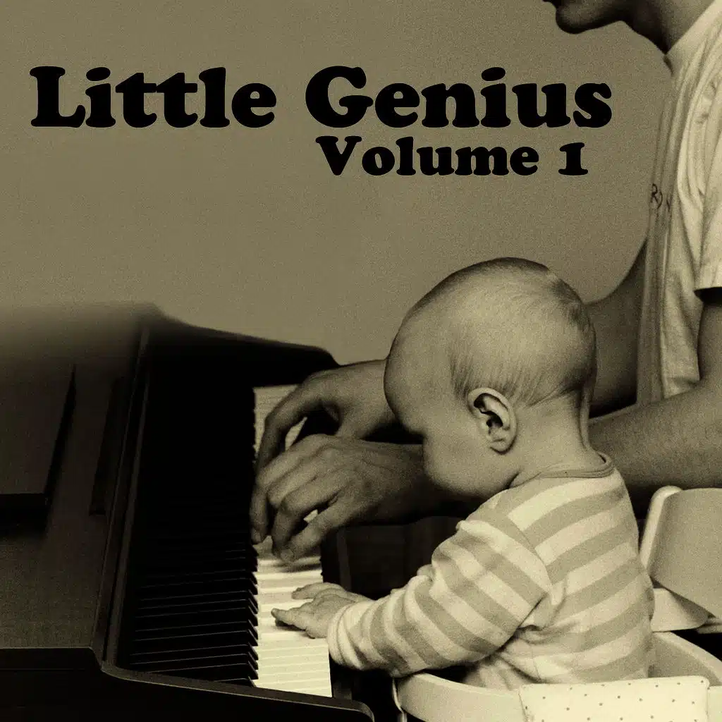 Ode To Joy - Symphony No. 9 (Excerpt)