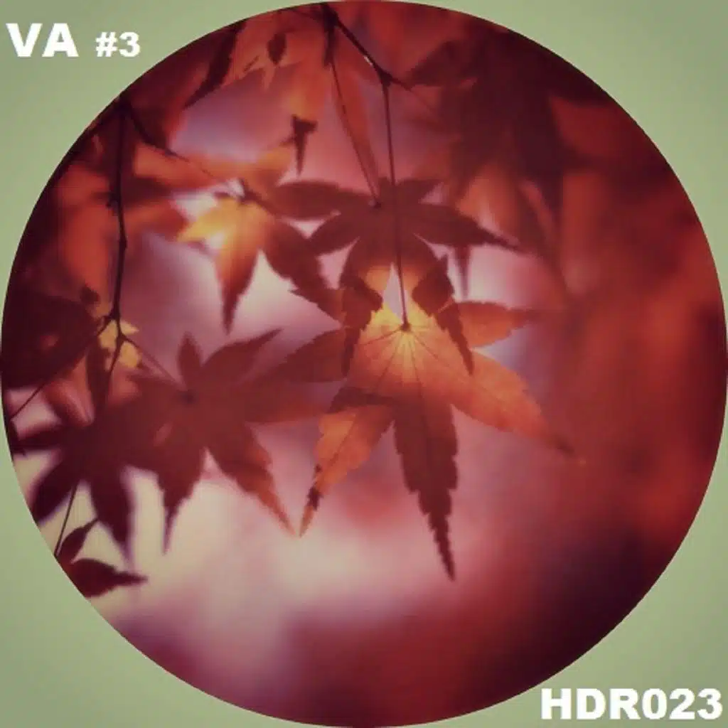 Green Socks (feat. Oldskool & Mini&Mal)