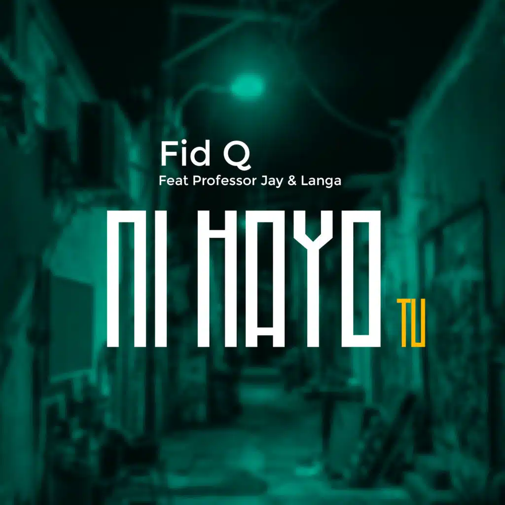 Ni Hayo Tu (feat. Langa & Professor Jay)
