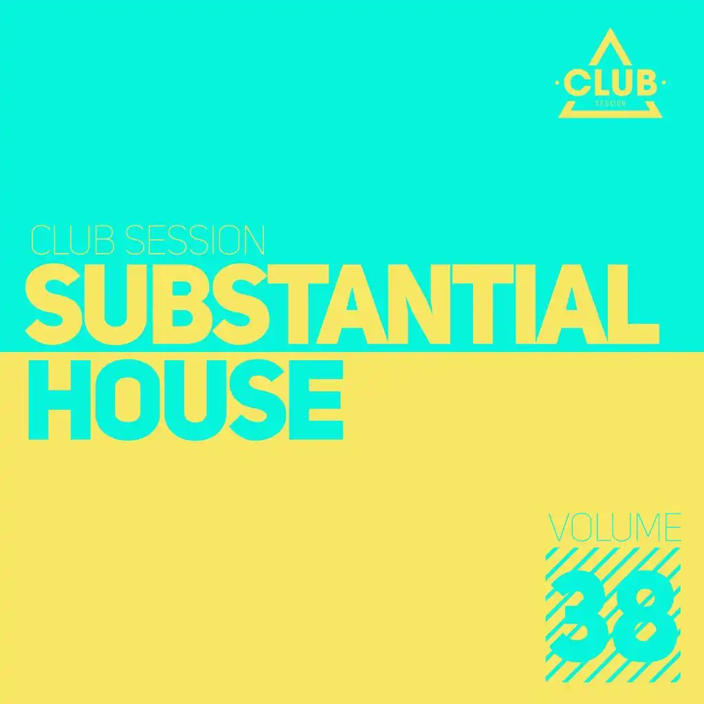 Substantial House, Vol. 38
