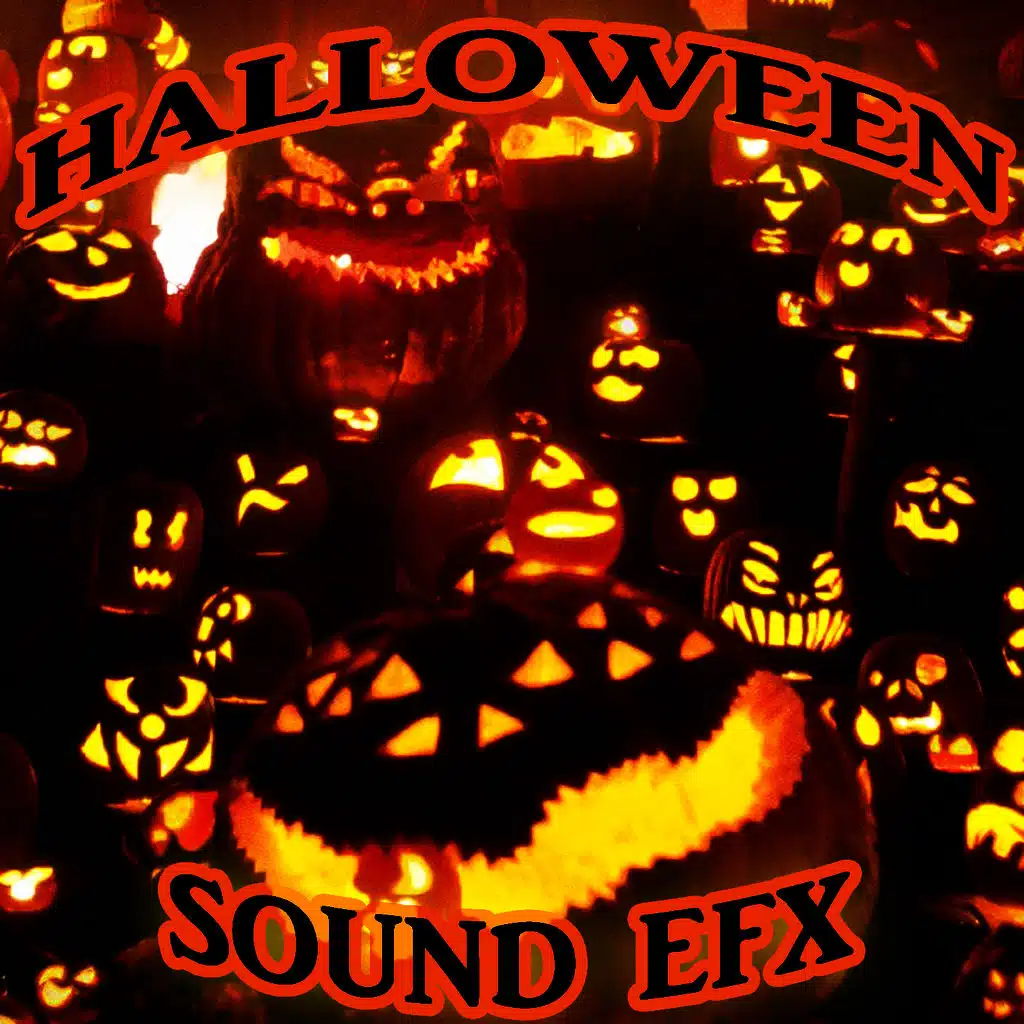 Scary Sounds DJ's