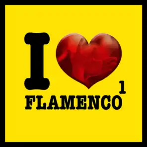 I Love Flamenco Vol.1