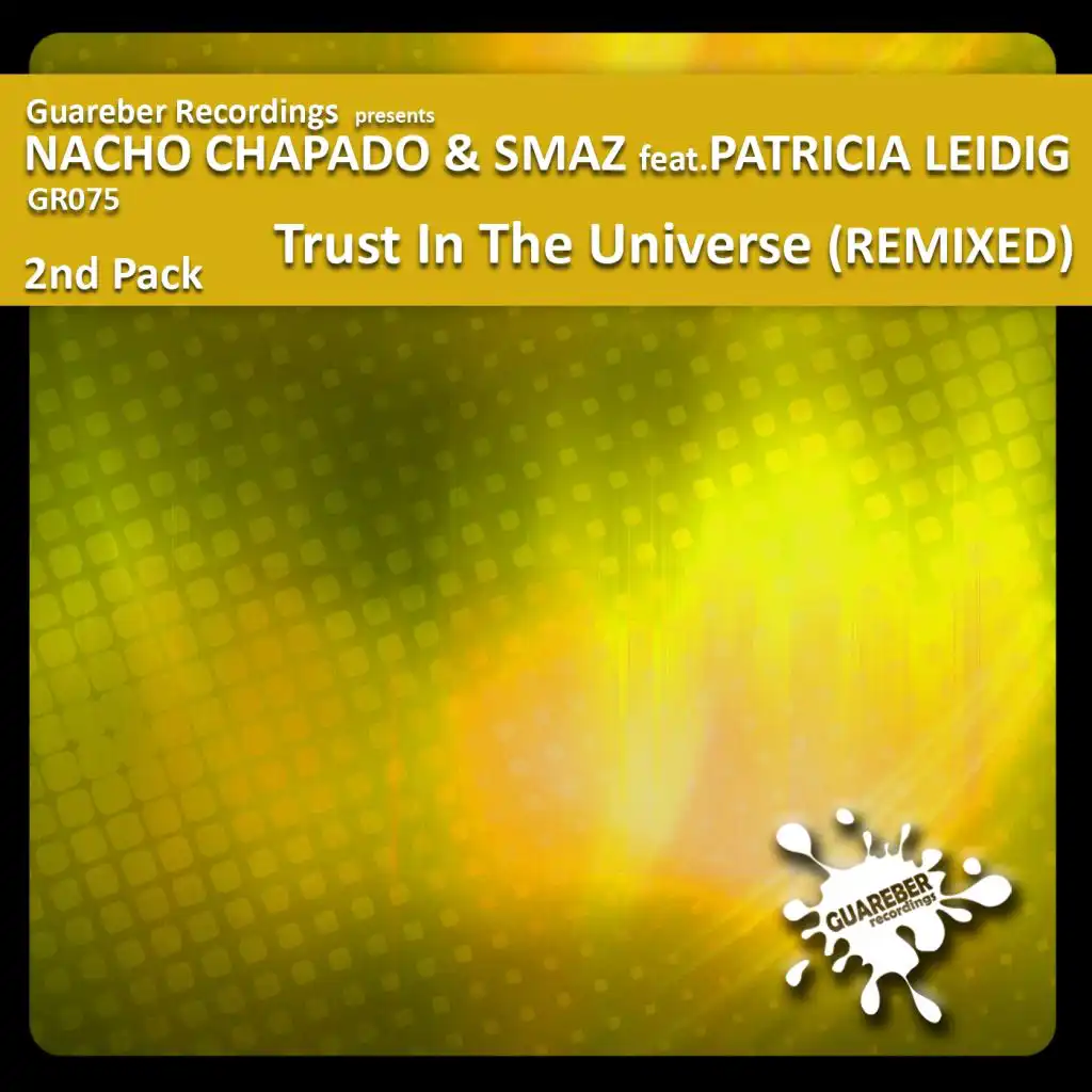 Trust In The Universe Remixed (Erik Elias Dub Mix) [feat. Patricia Leidig]