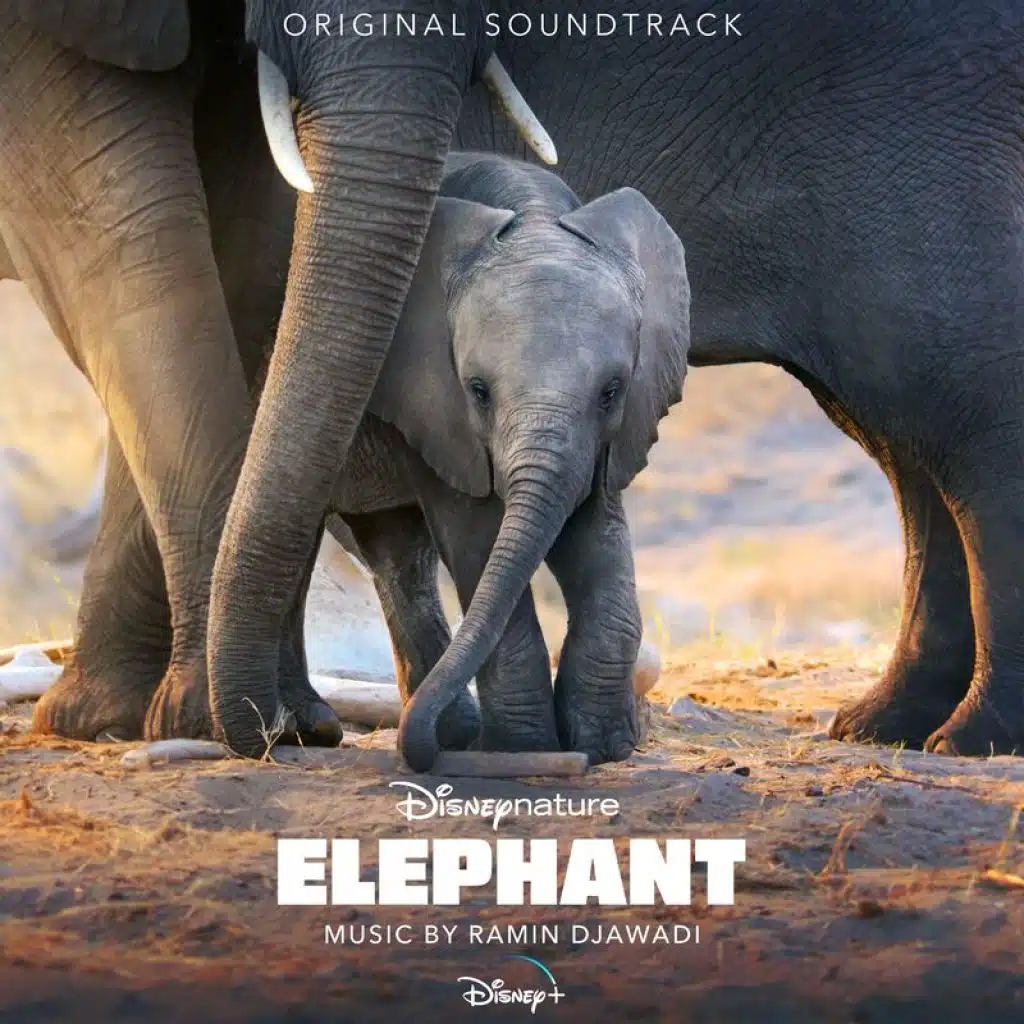 Elephant Prologue (From "Elephant"/Score)