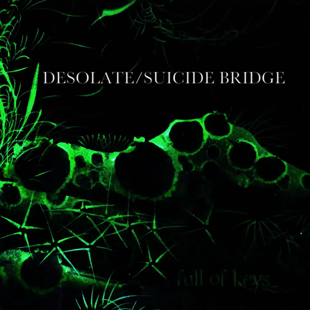 Desolate / Suicide Bridge