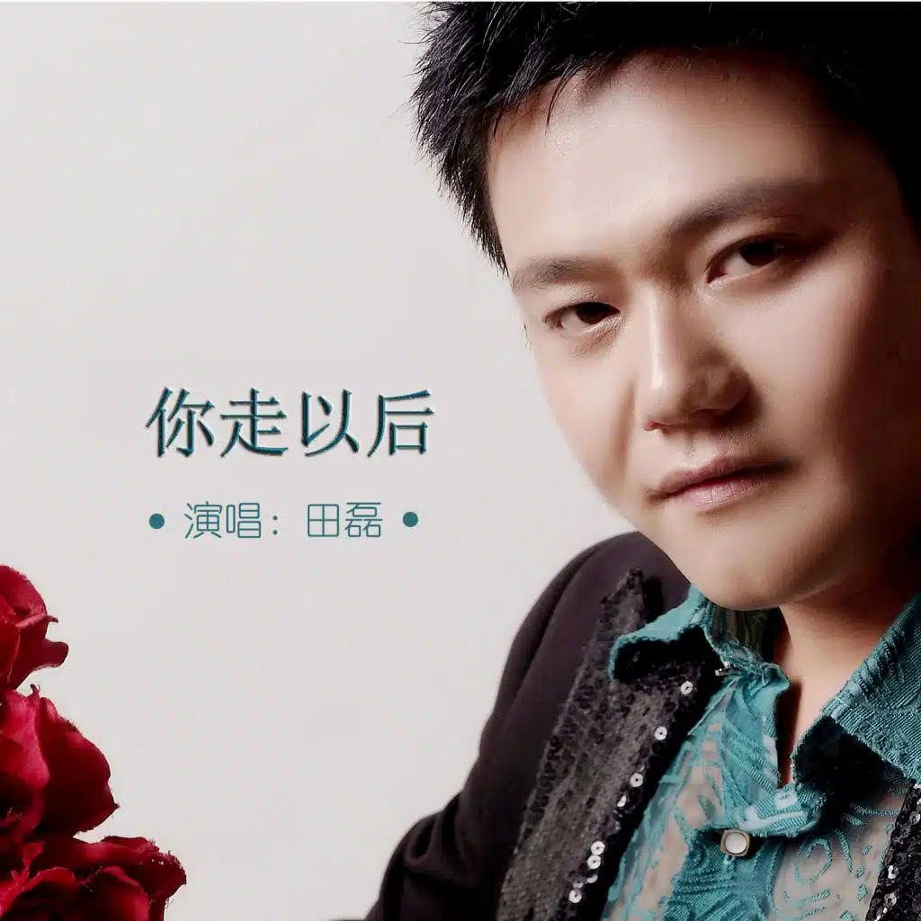 你走以后