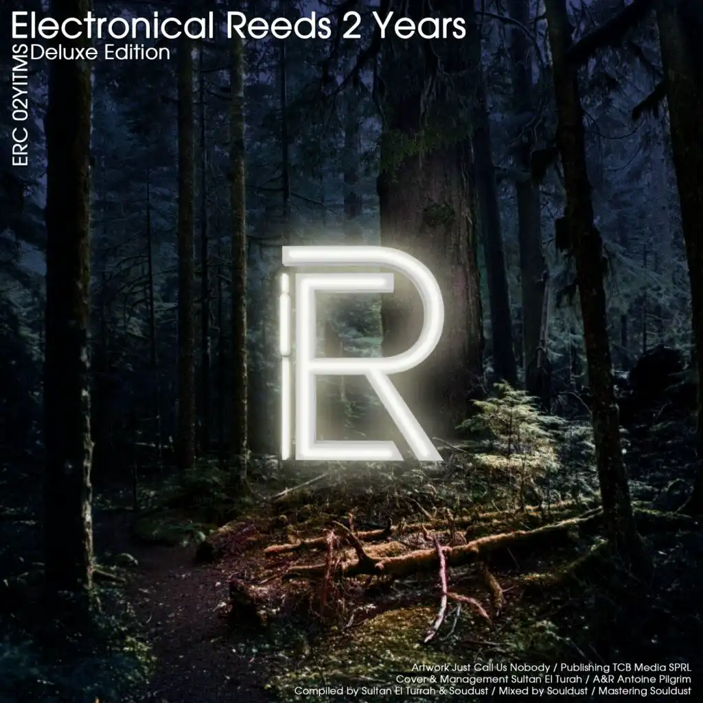 Electronical Reeds 2 Years