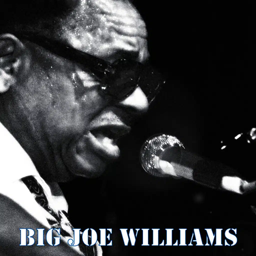 Big Joe Williams