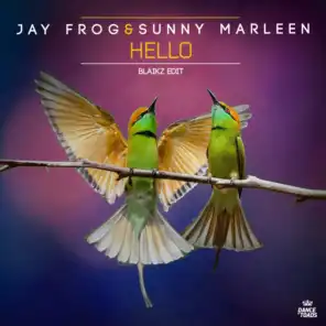 Hello (Extended Mix) [feat. Blaikz]