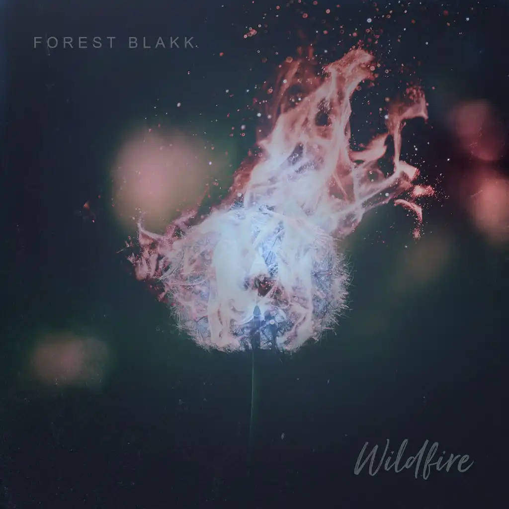 Wildfire