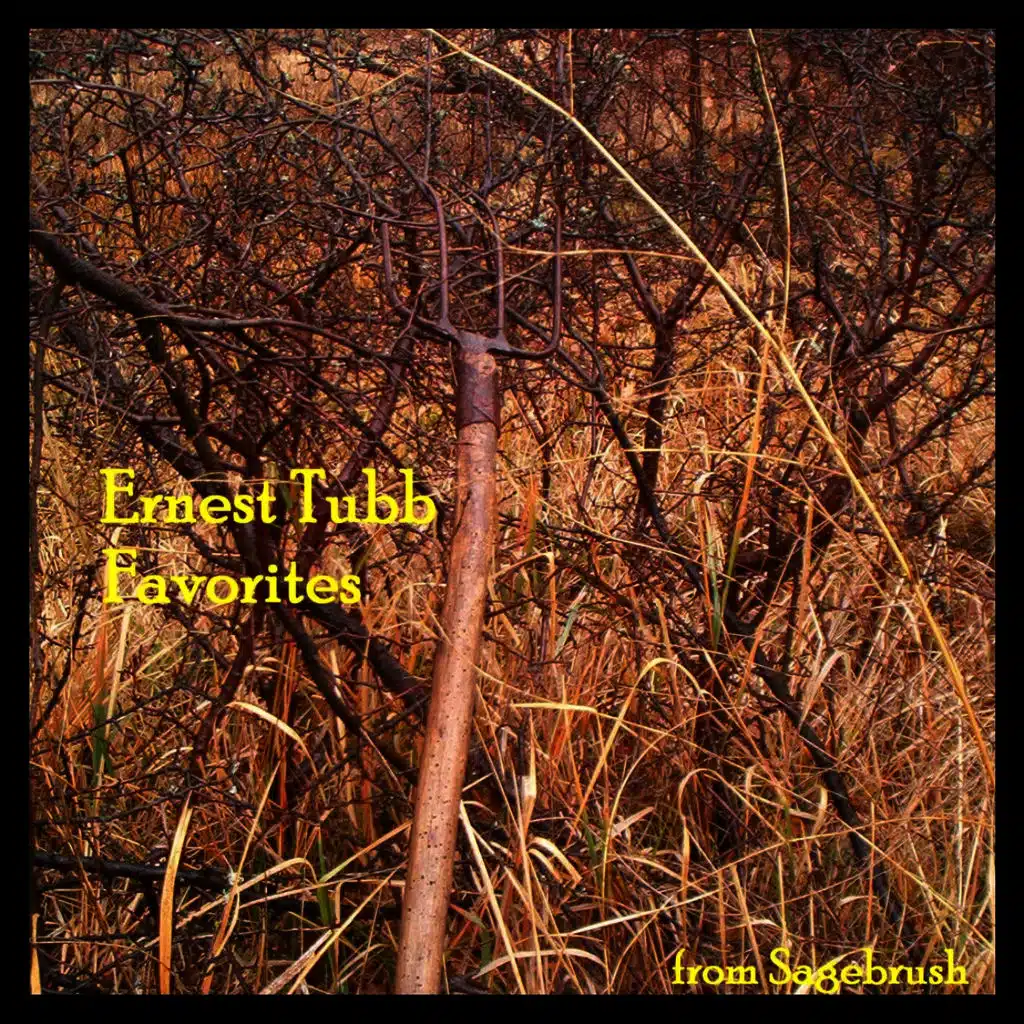 Soldier's Last Letter