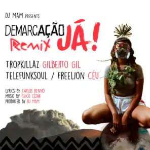Demarcação Já (Remix) [feat. Tropkillaz & Céu]
