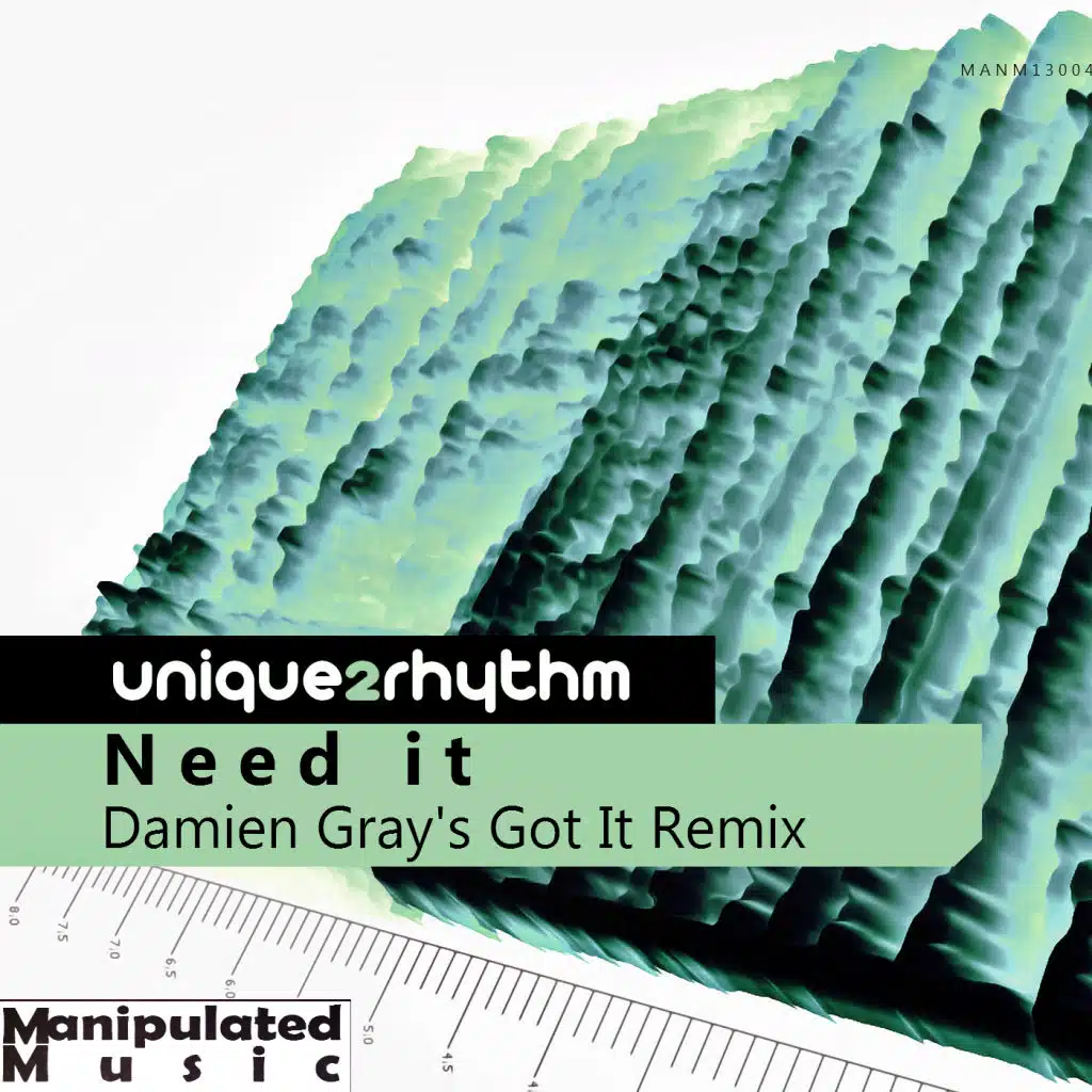 Need It (Damien Gray's Got It Remix)