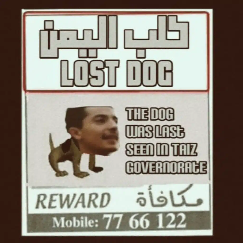 كلب اليمن +Diis 18