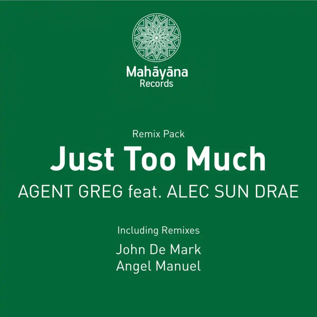 Just Too Much (feat. Alec Sun Drae)