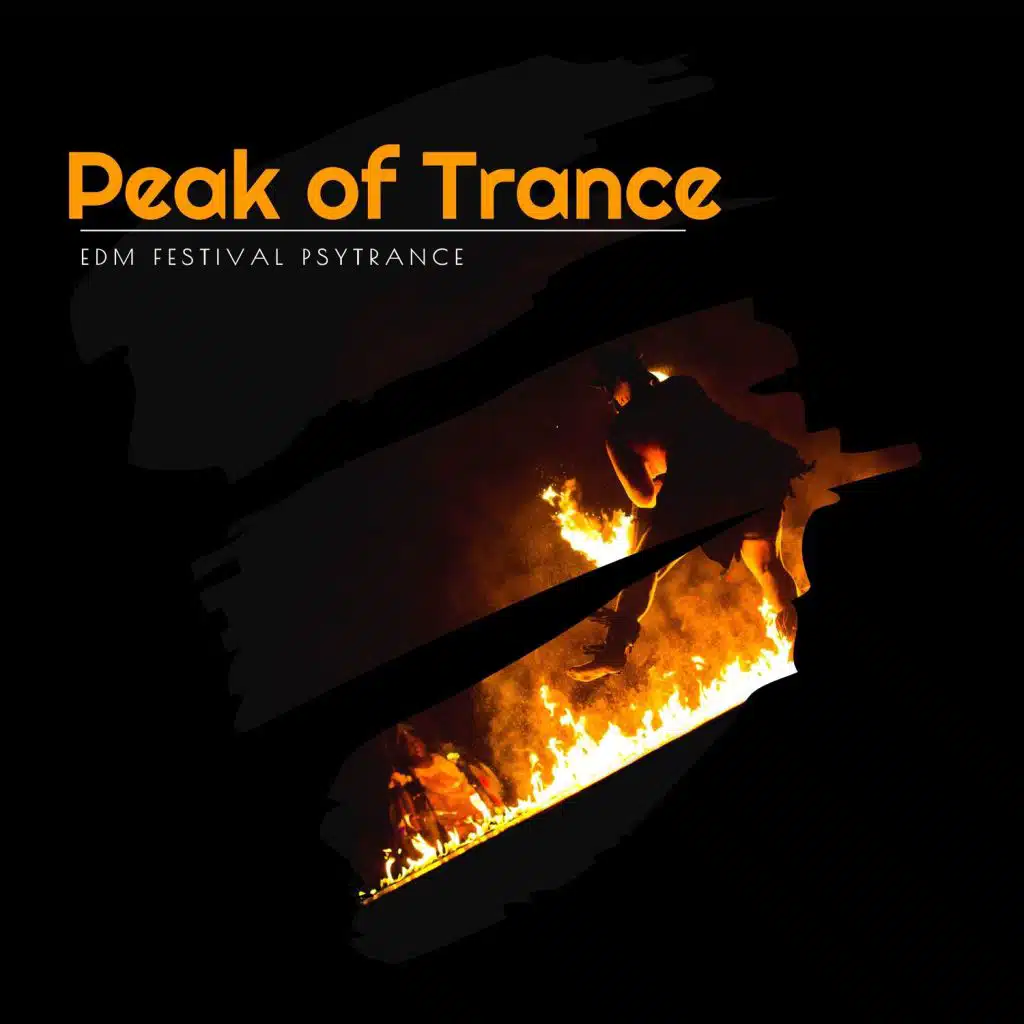 Peak Of Trance - EDM Festival Psytrance