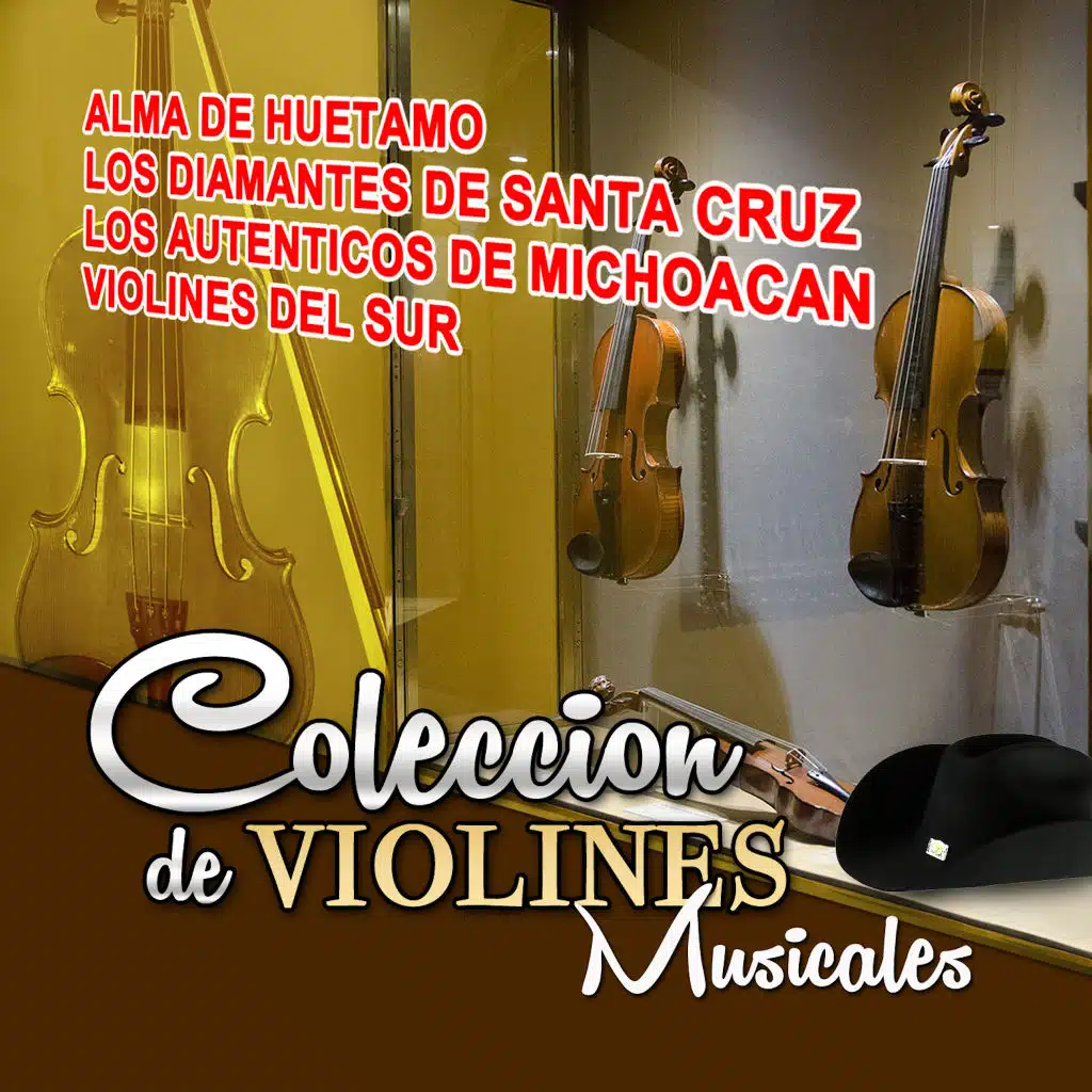 Coleccion De Violines Musicales