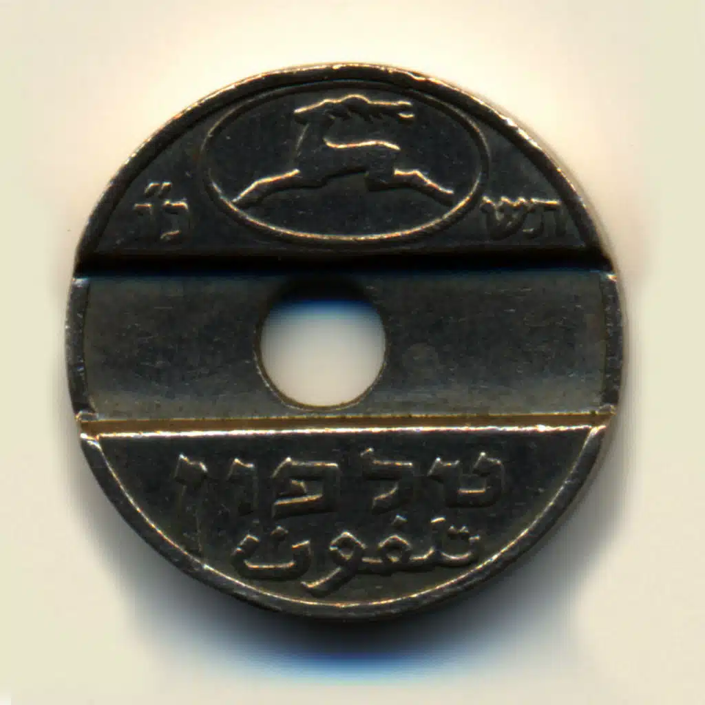 Dear In The Headlights