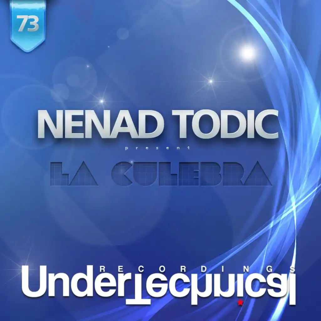 Nenad Todic